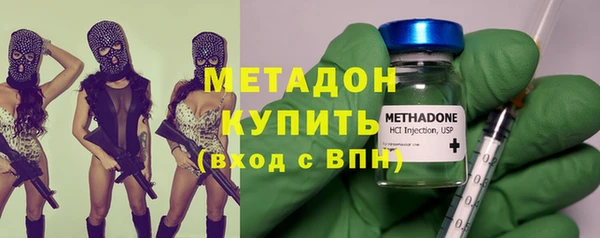 сатива Дмитриев