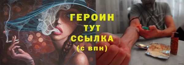 сатива Дмитриев