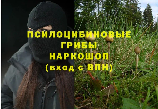сатива Дмитриев