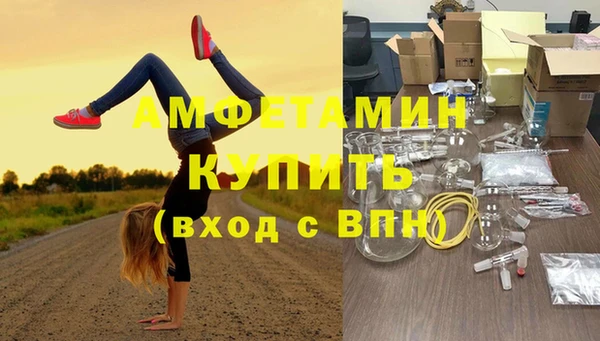 сатива Дмитриев