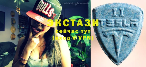 сатива Дмитриев