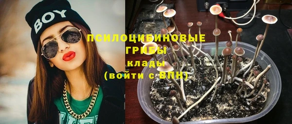 сатива Дмитриев