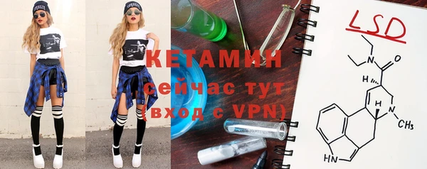 сатива Дмитриев