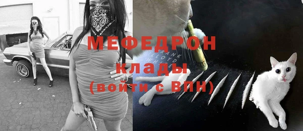 сатива Дмитриев