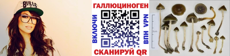 Купить где  Тулун  Псилоцибиновые грибы мицелий 
